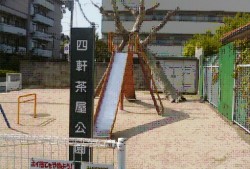 kichi_0802.jpg